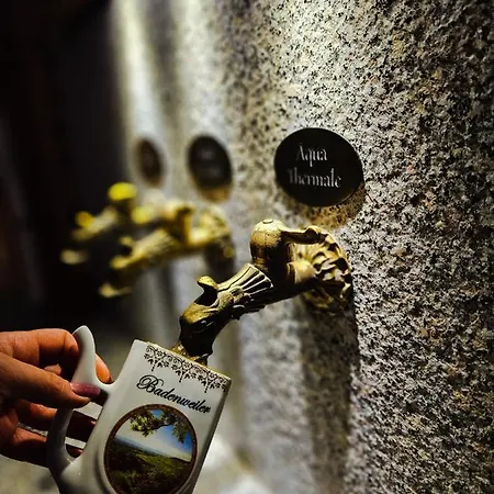 Hotel Fini-resort Badenweiler