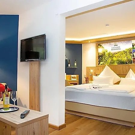 Fini-resort 4* Badenweiler