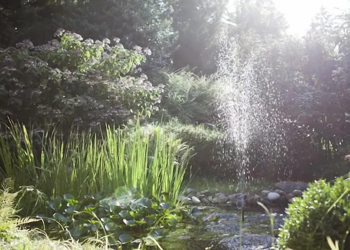 Fini-resort 4* Badenweiler